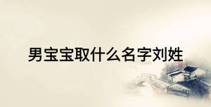 男寶寶取什么名字劉姓