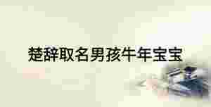 楚辭取名男孩牛年寶寶