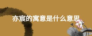 亦宸的寓意是什么意思