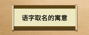 語字取名的寓意