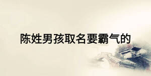 陳姓男孩取名要霸氣的
