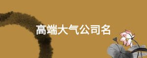 高端大氣公司名