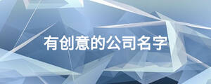 有創(chuàng)意的公司名字