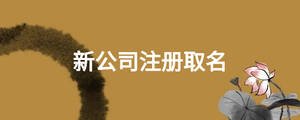 新公司注冊取名