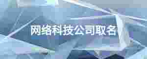 網絡科技公司取名
