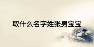 取什么名字姓張男寶寶