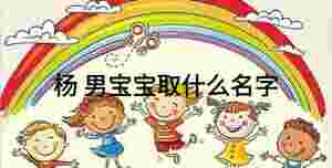 楊 男寶寶取什么名字