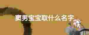 竇男寶寶取什么名字
