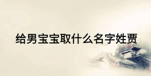 給男寶寶取什么名字姓賈