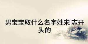 男寶寶取什么名字姓宋 志開頭的