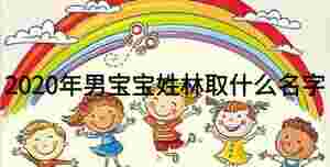 2020年男寶寶姓林取什么名字