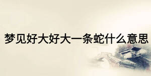 夢見好大好大一條蛇什么意思