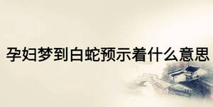 孕婦夢到白蛇預示著什么意思