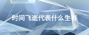 時(shí)間飛逝代表什么生肖