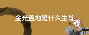 金光蓋地是什么生肖