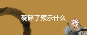 碗碎了預示什么