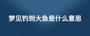 夢(mèng)見(jiàn)釣到大魚(yú)是什么意思