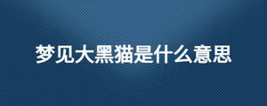夢見大黑貓是什么意思