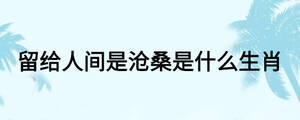 留給人間是滄桑是什么生肖