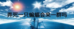 弄死一只蝙蝠會來一群嗎