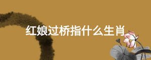 紅娘過橋指什么生肖