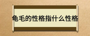 龜毛的性格指什么性格