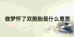 做夢懷了雙胞胎是什么意思