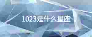 1023是什么星座