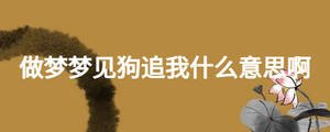 做夢夢見狗追我什么意思啊