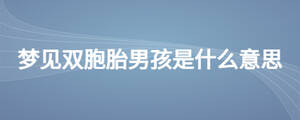夢見雙胞胎男孩是什么意思