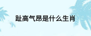 趾高氣昂是什么生肖