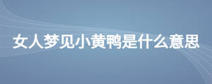 女人夢見小黃鴨是什么意思