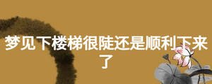 夢見下樓梯很陡還是順利下來了