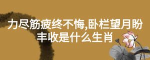 力盡筋疲終不悔,臥欄望月盼豐收是什么生肖