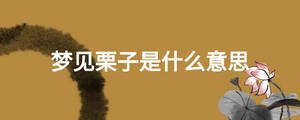 夢見栗子是什么意思