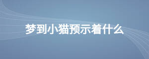 夢(mèng)到小貓預(yù)示著什么