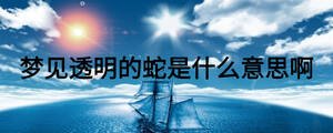 夢見透明的蛇是什么意思啊