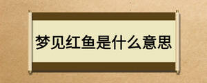 夢見紅魚是什么意思