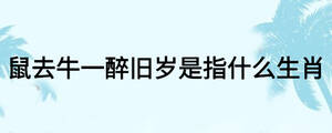鼠去牛一醉舊歲是指什么生肖