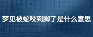 夢(mèng)見(jiàn)被蛇咬到腳了是什么意思