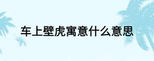 車上壁虎寓意什么意思