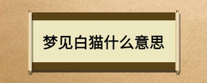 夢見白貓什么意思
