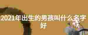 2021年出生的男孩叫什么名字好