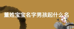 董姓寶寶名字男孩起什么名