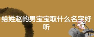 給姓趙的男寶寶取什么名字好聽