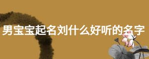 男寶寶起名劉什么好聽的名字