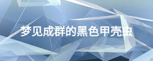 夢見成群的黑色甲殼蟲