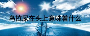 鳥(niǎo)拉屎在頭上意味著什么