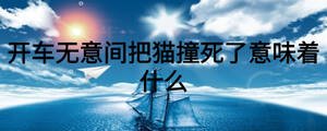 開車無意間把貓撞死了意味著什么
