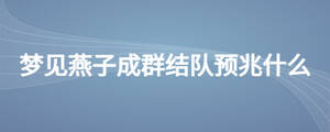 夢見燕子成群結(jié)隊預(yù)兆什么